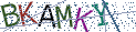 Type the letters shown in the picture