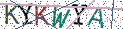 Type the letters shown in the picture