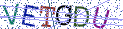 Type the letters shown in the picture
