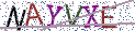 Type the letters shown in the picture