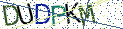 Type the letters shown in the picture