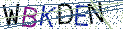 Type the letters shown in the picture
