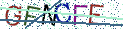 Type the letters shown in the picture