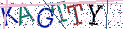 Type the letters shown in the picture