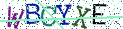 Type the letters shown in the picture