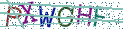 Type the letters shown in the picture