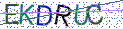 Type the letters shown in the picture