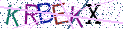 Type the letters shown in the picture