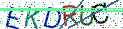 Type the letters shown in the picture