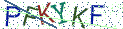 Type the letters shown in the picture