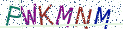 Type the letters shown in the picture