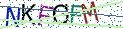 Type the letters shown in the picture