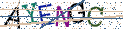 Type the letters shown in the picture