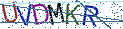 Type the letters shown in the picture