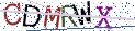 Type the letters shown in the picture