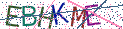 Type the letters shown in the picture