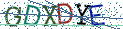 Type the letters shown in the picture