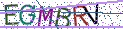 Type the letters shown in the picture