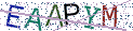 Type the letters shown in the picture