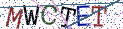 Type the letters shown in the picture