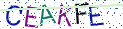 Type the letters shown in the picture