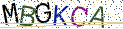 Type the letters shown in the picture