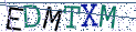 Type the letters shown in the picture
