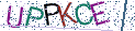 Type the letters shown in the picture
