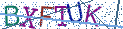 Type the letters shown in the picture