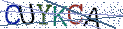Type the letters shown in the picture