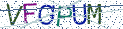 Type the letters shown in the picture
