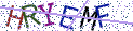 Type the letters shown in the picture