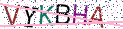 Type the letters shown in the picture