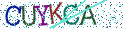 Type the letters shown in the picture