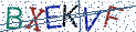 Type the letters shown in the picture