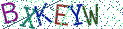 Type the letters shown in the picture