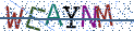 Type the letters shown in the picture