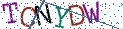 Type the letters shown in the picture