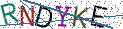 Type the letters shown in the picture