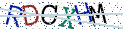 Type the letters shown in the picture