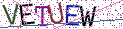 Type the letters shown in the picture
