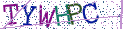 Type the letters shown in the picture
