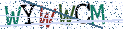 Type the letters shown in the picture