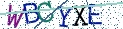 Type the letters shown in the picture