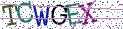 Type the letters shown in the picture