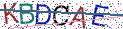 Type the letters shown in the picture