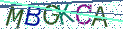 Type the letters shown in the picture