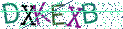 Type the letters shown in the picture