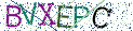 Type the letters shown in the picture