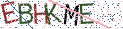 Type the letters shown in the picture